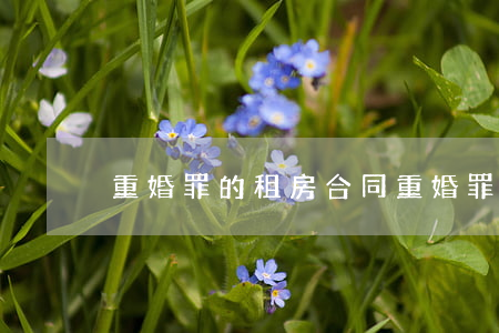 重婚罪的租房合同(重婚罪律師咨詢)