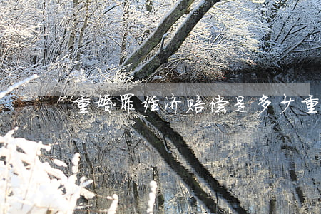 重婚罪经济赔偿是多少(重婚罪是什么罪行)