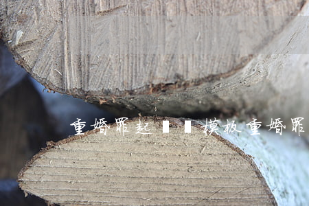 重婚罪起訴書模板(重婚罪筆錄模板)