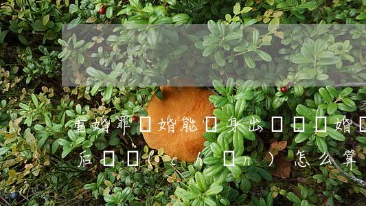 重婚罪離婚能凈身出戶嗎(離婚凈身出戶復婚后財產(chǎn)怎么算)