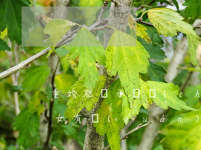 重婚能繼承遺產(chǎn)嗎(再婚家庭子女有權(quán)繼承對方的遺產(chǎn)嗎)