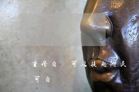 重婚自訴可以提起附民訴訟嗎(重婚罪可公訴可自訴)