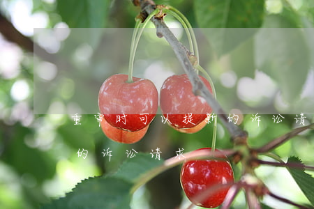 重审时可以提新的诉讼请求吗(再审中提出新的诉讼请求)