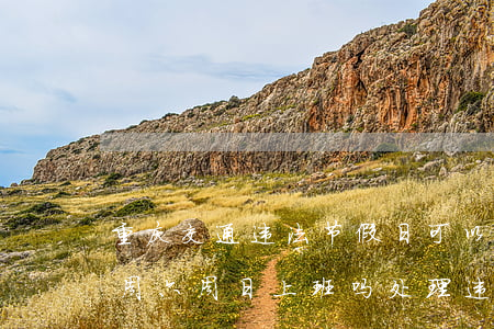 重庆交通违法节假日可以处理吗(重庆车管所周六周日上班吗处理违章)