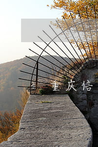重庆信用卡逾期(重庆信用卡逾期协商机构)
