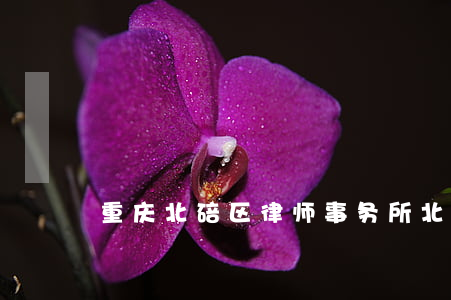 重庆北碚区律师事务所(北碚律师咨询电话)