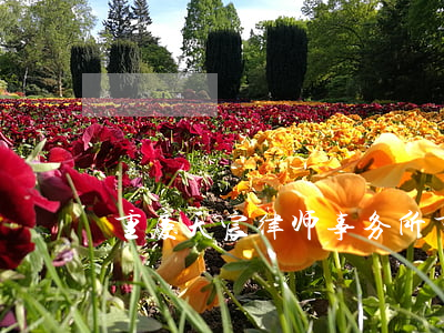 重庆天宸律师事务所(重庆天宸律师事务所)