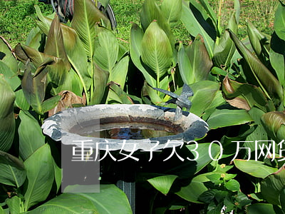 重庆女子欠30万网贷