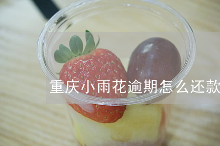 重庆小雨花逾期怎么还款