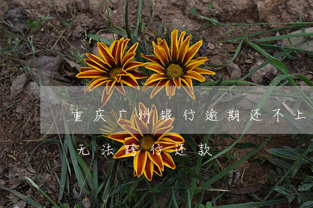 重庆广州银行逾期还不上会起诉吗 广州银行无法跨行还款