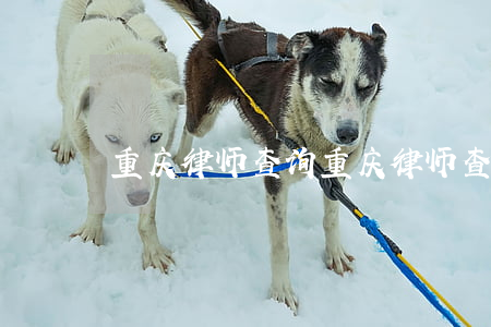 重庆律师查询(重庆律师查询户籍信息)