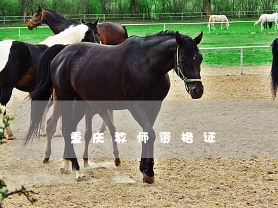 重庆教师资格证
