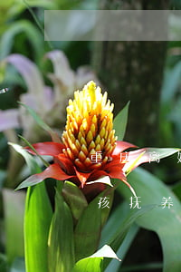 重庆离婚孩子抚养权法律知识(重庆市离婚小孩抚养费标准)