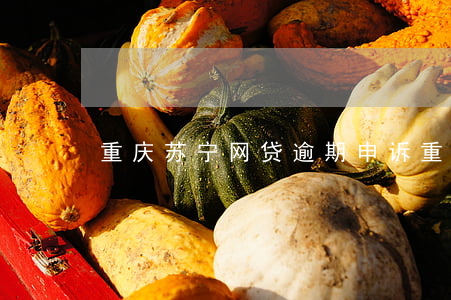 重庆苏宁网贷逾期申诉(重庆苏宁小额贷客服)