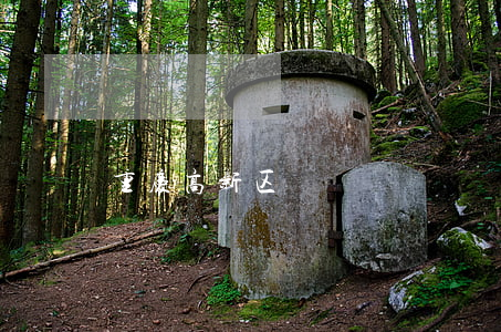 重庆高新区