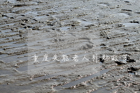 重度失能老人补贴政策