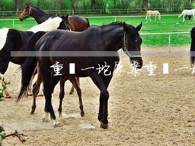 重慶一坨屎案(重慶一坨屎案評(píng))
