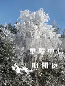 重慶中信信用卡逾期開庭(重慶中信信用卡逾期開庭)