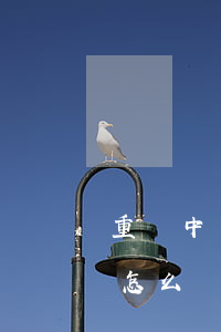 重慶中標(biāo)律師事務(wù)所怎么樣(重慶中世律師事務(wù)所怎么樣)