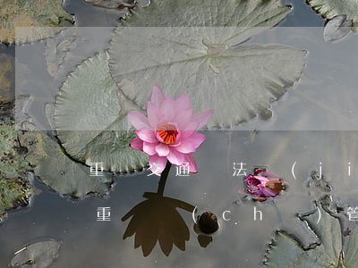 重慶交通違法節(jié)假日可以處理嗎(重慶車(chē)管所周六周日上班嗎處理違章)