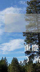 重慶企業(yè)法律顧問律師事務(wù)所(重慶市律師事務(wù)所免費咨詢電話)