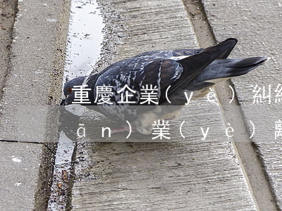 重慶企業(yè)糾紛律師(重慶專(zhuān)業(yè)離婚糾紛律師)