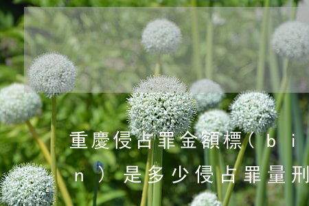 重慶侵占罪金額標(biāo)準(zhǔn)是多少?(侵占罪量刑標(biāo)準(zhǔn))