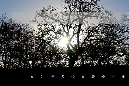 重慶侵占罪金額標(biāo)準(zhǔn)是多少?(重慶侵占罪金額標(biāo)準(zhǔn)是多少?)