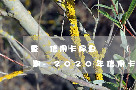 重慶信用卡停息掛賬協(xié)商分期幾期-2020年信用卡停息掛賬分期辦理