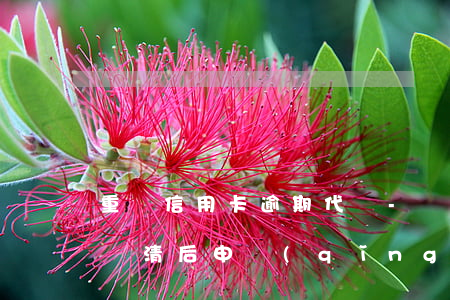 重慶信用卡逾期代還-嚴(yán)重逾期還清后申請(qǐng)信用卡
