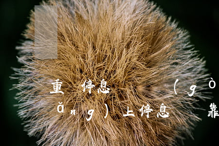 重慶停息掛賬機構(gòu)靠譜嗎(網(wǎng)上停息掛賬靠譜嗎)