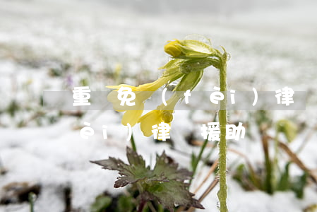 重慶免費(fèi)律師援助(重慶免費(fèi)律師援助)