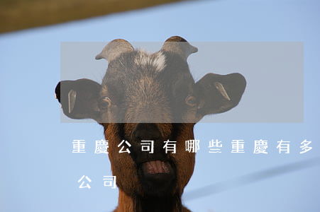 重慶公司有哪些(重慶有多少家企業(yè)公司)