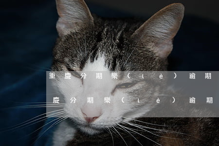 重慶分期樂(lè)逾期六個(gè)月(重慶分期樂(lè)逾期六個(gè)月)