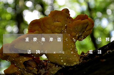 重慶南岸區(qū)債務(wù)糾紛律師咨詢(xún)電話(huà)-重慶南岸區(qū)法律咨詢(xún)