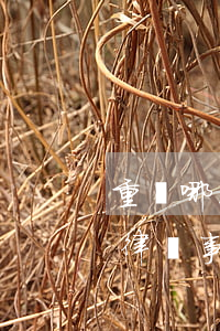 重慶哪家律師事務所比較好(重慶排名前十的律師事務所)