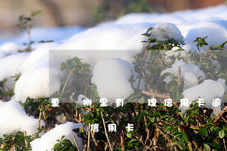 重慶哪里有辦理信用卡逾期的(逾期了哪里可以辦信用卡)
