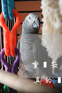 重慶安高律師函是真的嗎(重慶安高律師函是真的嗎)