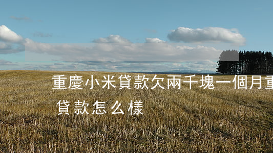 重慶小米貸款欠兩千塊一個月(重慶小米小額貸款怎么樣)