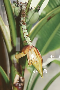 重慶小雨點(diǎn)逾期多久起訴(重慶小雨點(diǎn)逾期幾天上報(bào)征信)