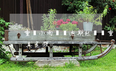 重慶小雨點會逾期起訴嗎(重慶小雨點起訴是真是假)