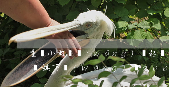 重慶小雨點網(wǎng)貸起訴(重慶小雨點旗下網(wǎng)貸app)