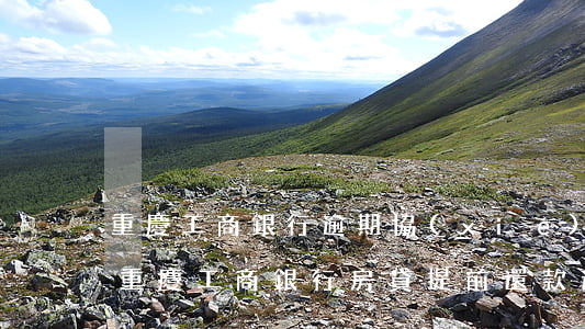 重慶工商銀行逾期協(xié)商還款技巧(重慶工商銀行房貸提前還款違約金怎么算)