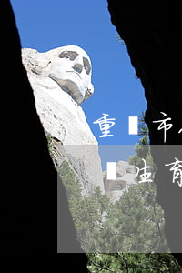 重慶市人口與計劃生育條例(重慶市人口與計劃生育條例婚假)