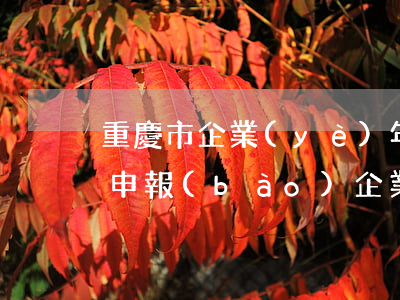 重慶市企業(yè)年報(bào)逾期未申報(bào)(企業(yè)年報(bào) 逾期)