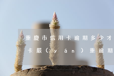 重慶市信用卡逾期多少才會立案(什么叫信用卡嚴(yán)重逾期)