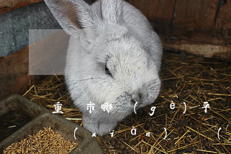 重慶市哪個(gè)平臺(tái)公司出現(xiàn)債務(wù)逾期-重慶市哪個(gè)平臺(tái)公司出現(xiàn)債務(wù)逾期最多