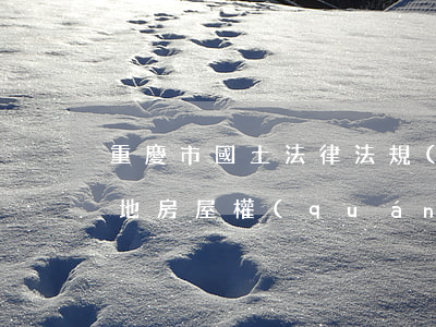 重慶市國土法律法規(guī)(重慶市土地房屋權(quán)屬登記條例的法律責(zé)任)