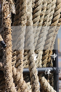 重慶市專業(yè)處理信用卡債務(wù)律師（重慶信用卡逾期公司）