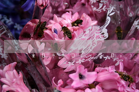 重慶市房產(chǎn)稅